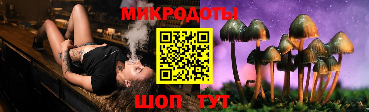 Старая Купавна  Псилоцибиновые грибы Cubensis  Вход с VPN 
